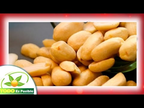 download lagu mp3 mp4 Mani Informacion Nutricional, download lagu Mani Informacion Nutricional gratis, unduh video klip Mani Informacion Nutricional