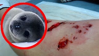 CUTE Animals That Can Be DEADLY!