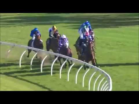 Warwick Stakes 2017 -  Winx
