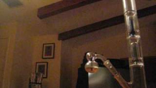 Fishbone - I&#39;m a weed plant