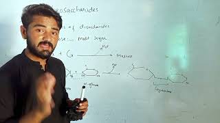 Classification of carbohydrates Ologosaccharides By Ansar Sir |MathMatch