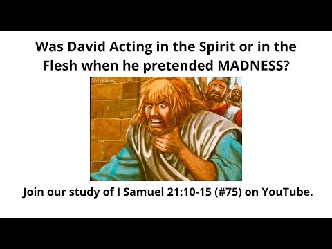 Would you pretend to be insane to save your life? David it. (I Samuel 21:10-15 -- #75)
