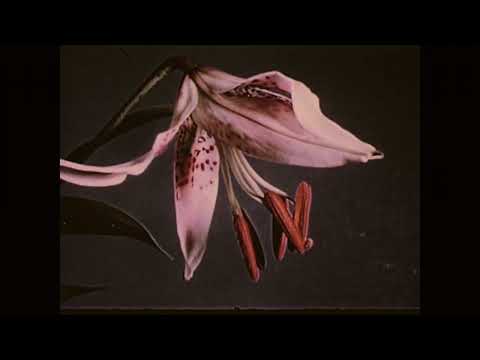 Alina Orlova - Iš Kur?