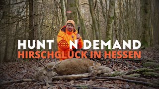 Hirschglück in Hessen 🦌 von @wildhuntblackforest4494