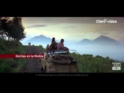 TrailerMovie Gorillas in the Mist 1988 ESP