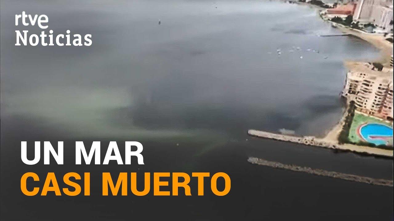 MAR MENOR: Cuatro toneladas y media de PECES MUERTOS en una SEMANA | RTVE Noticias