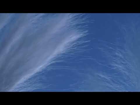 Hannah Read - Silverphae (Official Video)