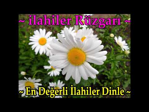✨🌼İlahiler Rüzgarı🌼✨En Değerli ilahiler Dinle✨🌼