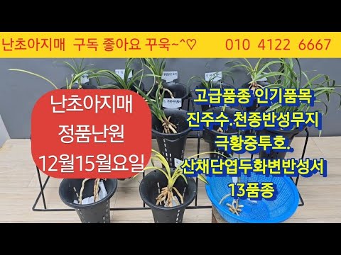 유튜브 썸네일