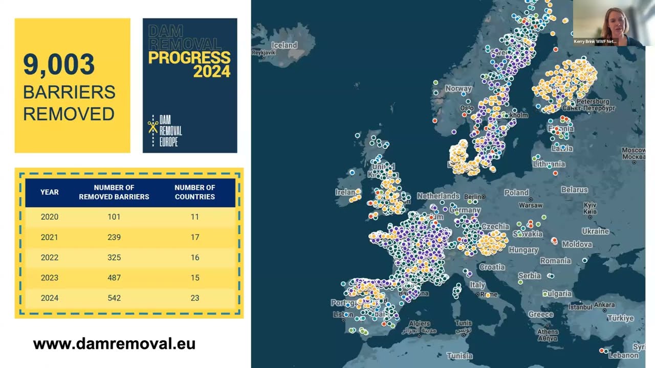 Restoring Free-Flowing Rivers