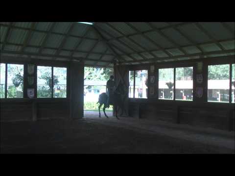 Hija de Concierto de La Querencia x Insolito de La Luisa