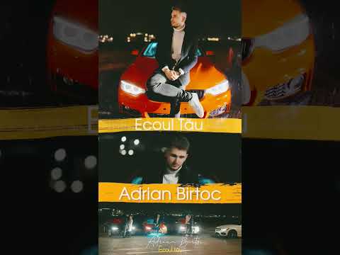 Adrian Birtoc - Ecoul tau (short) #5pasidebine