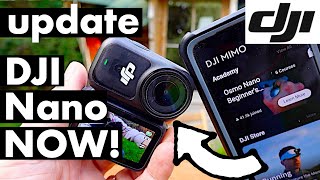 DJI OSMO NANO: How To Update Firmware (real time walkthrough...)