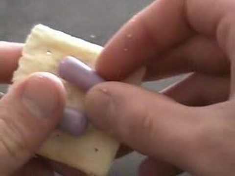 Dellieman Aicha Cover