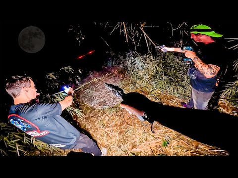 WE ENTER THE FOREST IN SEARCH OF THE LEGEND OF THE WITCH