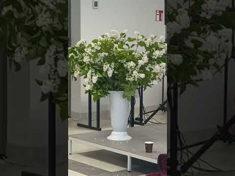 Aktoriai Emilija Latėnaitė ir Juozas Gaižauskas. Kūrybos vakaras Rokiškyje.