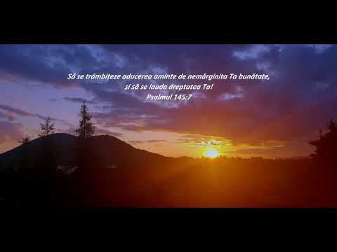 Fedur Music - Bunătate nemărginită (Solo instrumental - Trompetă)