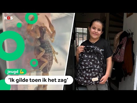 Arianna vindt zwangere schorpioen in nieuwe schooltas uit China
