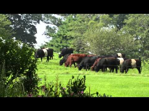Protect Mainstone Farm in Wayland, Massachusetts