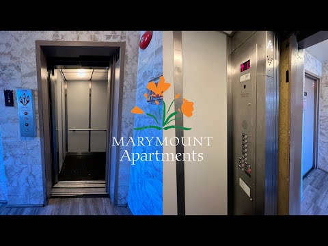 Stupid Hydraulic Swing Door Elevator - Marymount Manor Apartments - Redwood City, CA