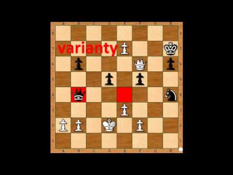 7.4. GM Evgeny Gleizerov - GM Robert Cvek, 2.časť