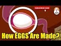 How EGGS Are Formed Inside The Chicken