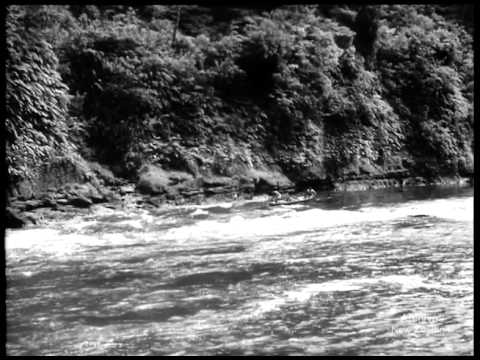 A Lenda do Rio Wanganui (1952)