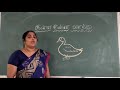 CLASS UKG TAMIL RHYMES