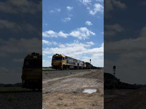 TRAINS AM22 Pacific National 3XM4 Steel Train NR105 NR112 at Cressy, Victoria, Australia 10/01/24