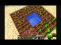 MineCraft Tutorial: How to plant & grow crops.