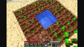 MineCraft Tutorial: How to plant & grow crops.