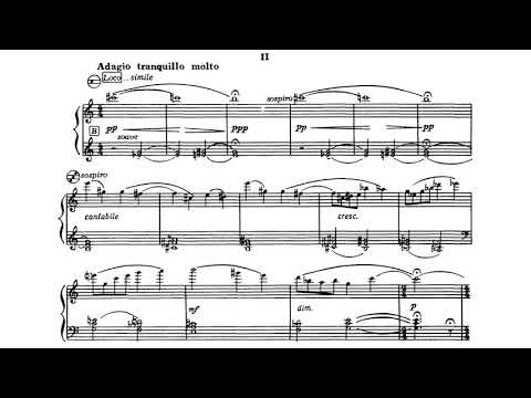 [Vladislav Zolotaryov] Bayan Sonata No.2 (Score-Video)
