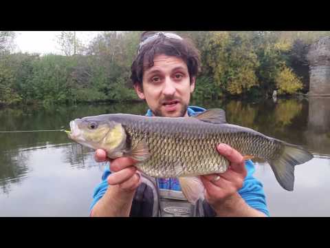 Lure Fishing with Turrall Dropshot Minnow Flies