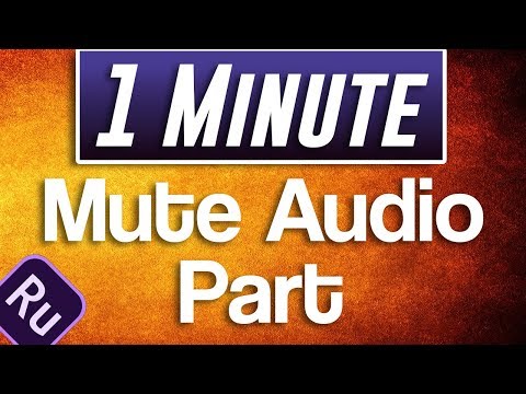 Premiere Rush CC How to Mute Part of Audio