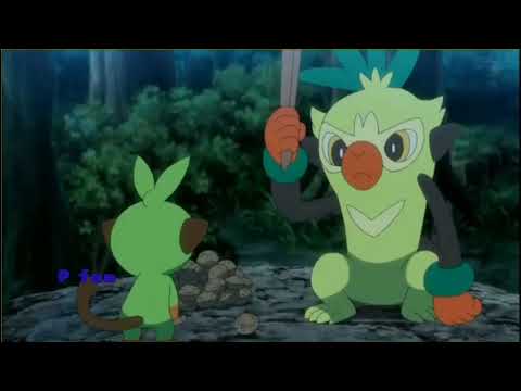 Pokemon sword and shield episode 101 || Grookey & Thwackey suit moment