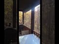 A Bigfoot on Camera Going Crazy! | Scary Shorts
