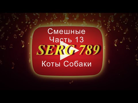 🔴Смешные коты собаки (Часть 13)✅ 🙂 👍 🐱 🐶