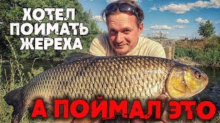 Способ ловли голавля на реке
