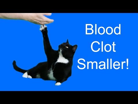 My cat's blood clot got smaller!! :)