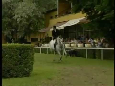 BEMER a lovas-sportban