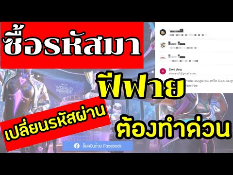 ชื่อ ฟีฟาย