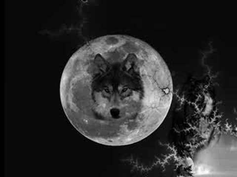 Silver Bullet-Donkey Rollers