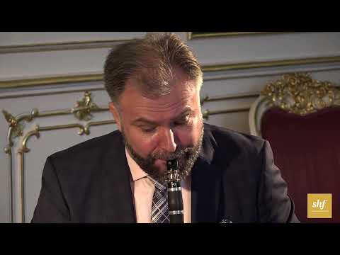 Bokun/Kościuszko Duo live at the Bruntal Castle - Richard Galliano - A french touch