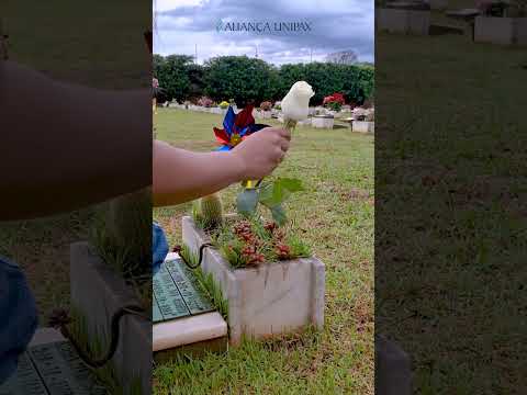 Finados 2025 |  Aliança Unipax