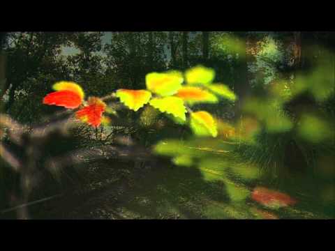 South Coast Track trek: Tasmania