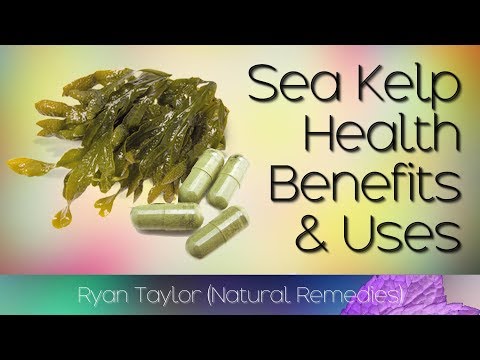 Sea Kelp: Benefits and Uses