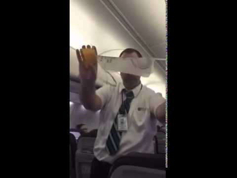 Lustige flugbegleiter