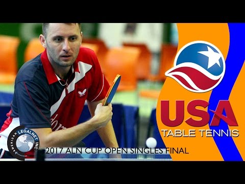 2017 ALN Cup Open Final - Tao Wenzhang vs. Lubomir Pistej