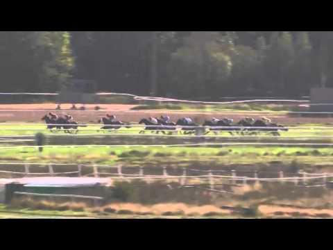 2014.09.13 Täby Open Sprint Championship - Ragazzo