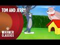 Tom And Jerry Mega Compilation Vol 10 The Spike Series Warner Classics